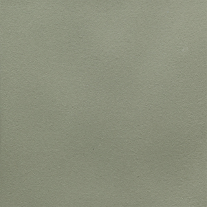 EARTH OLIVE